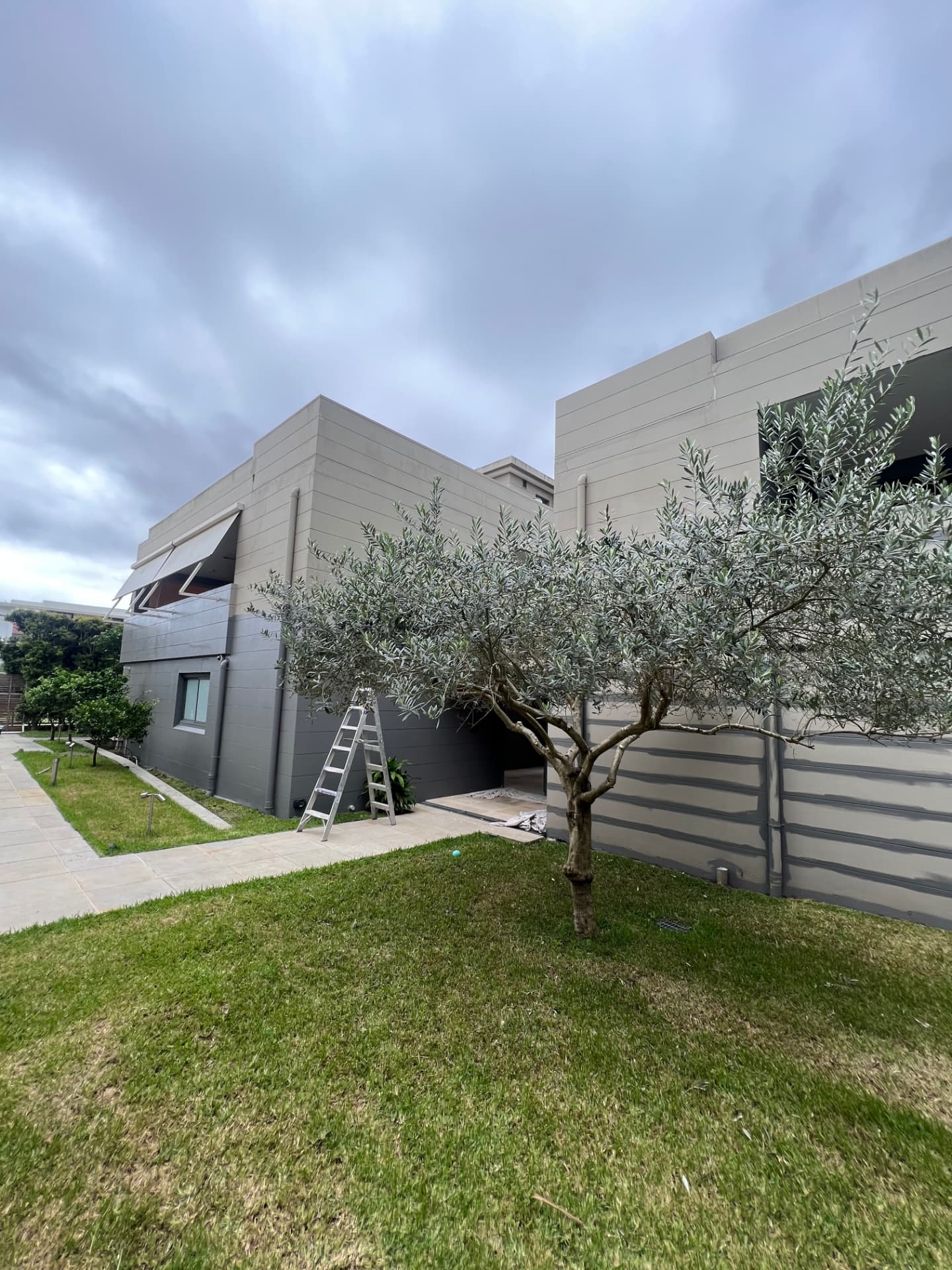 Modern grey and white residential exterior painted by BRIMO